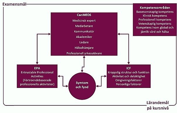 UTairning eng seksual styuardessalari UTairning eng seksual styuardessalari